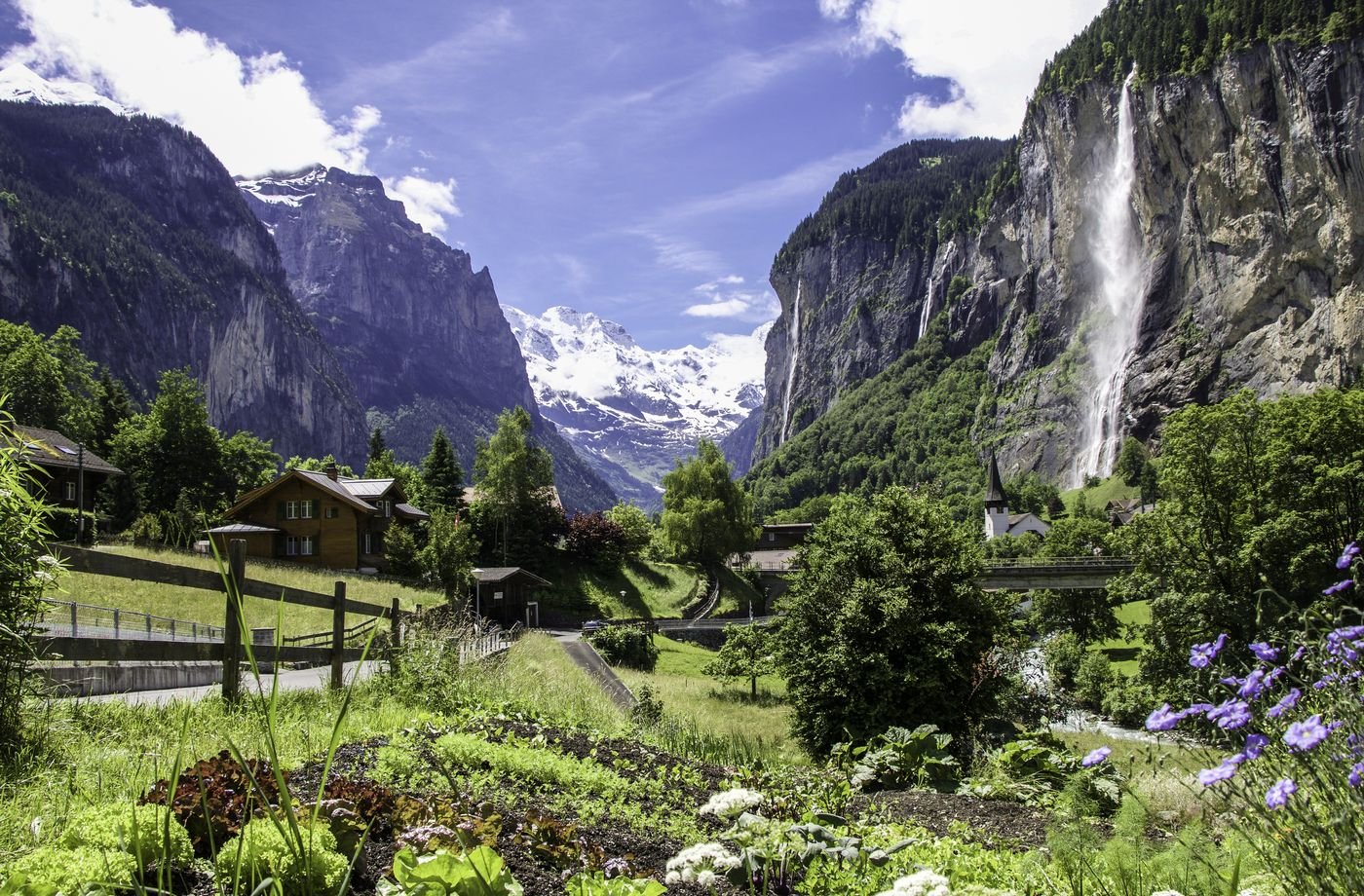 Watch and Cow - Travel Design