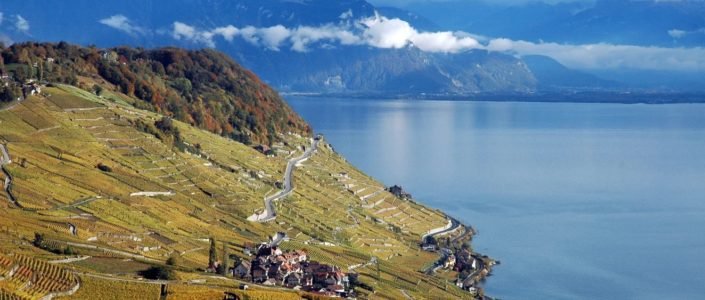Explore now: Switzerland’s Unique Wines & Local Food