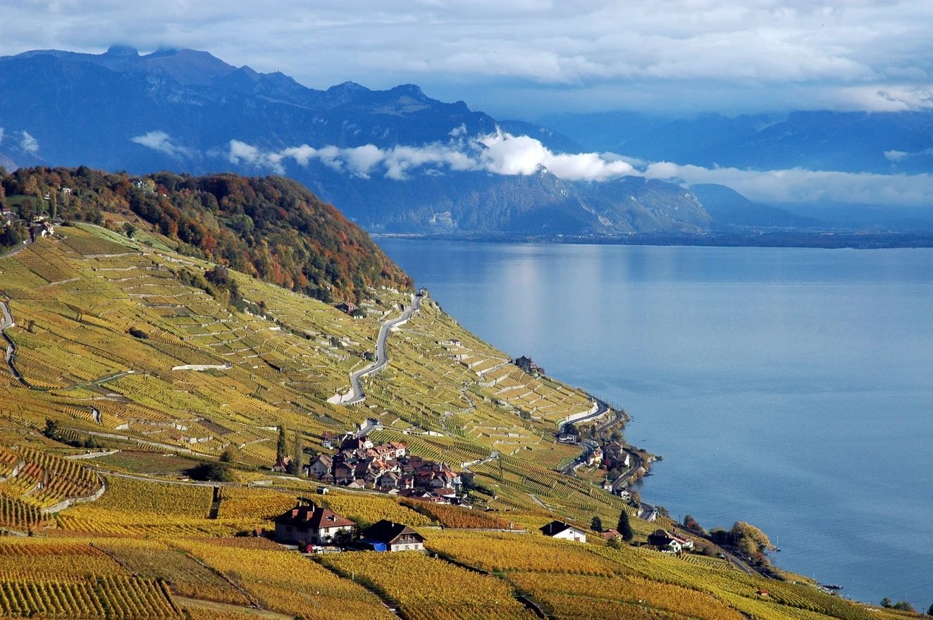 Explore now: Switzerland’s Unique Wines & Local Food