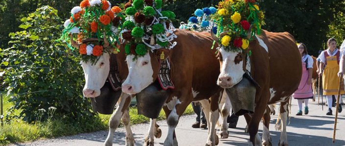 Selected private guides for luxury travel to Switzerland