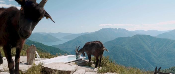 Unique Partners for best experiences