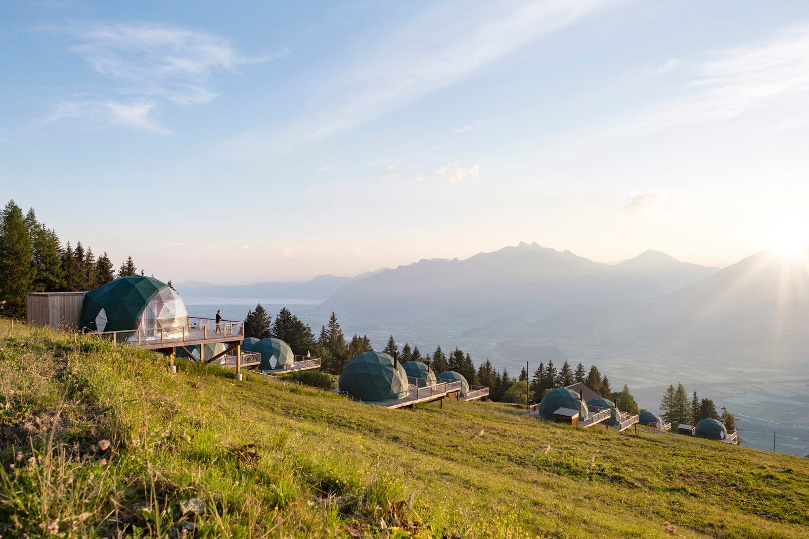 Watch and Cow - Travel Design