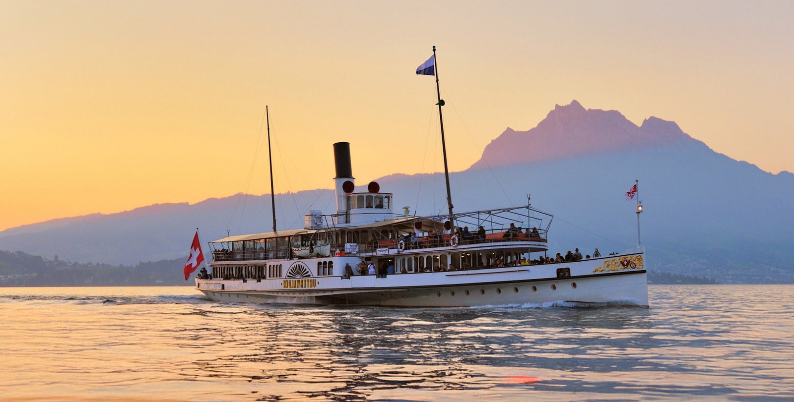 Watch and Cow - Travel Design