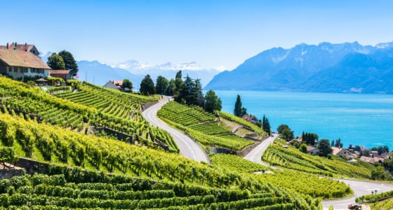 The Grand Wine Tour of Switzerland