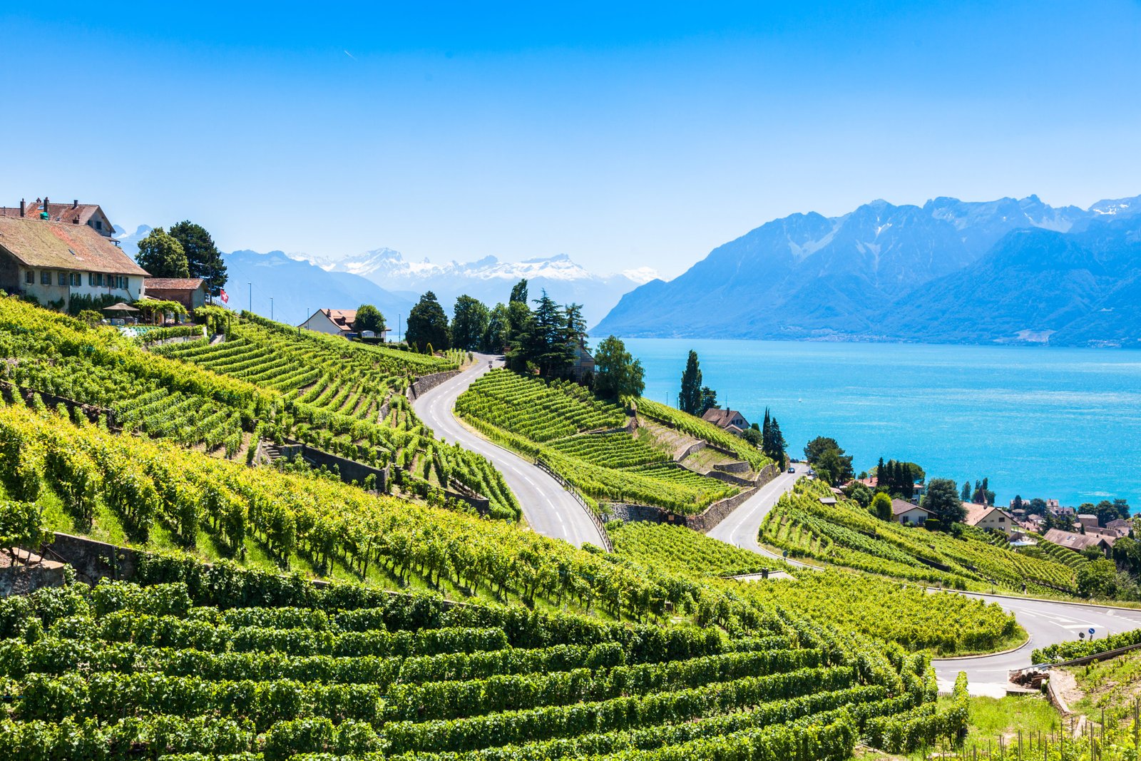 The Grand Wine Tour of Switzerland